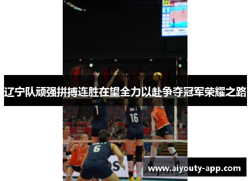辽宁队顽强拼搏连胜在望全力以赴争夺冠军荣耀之路