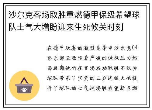沙尔克客场取胜重燃德甲保级希望球队士气大增盼迎来生死攸关时刻
