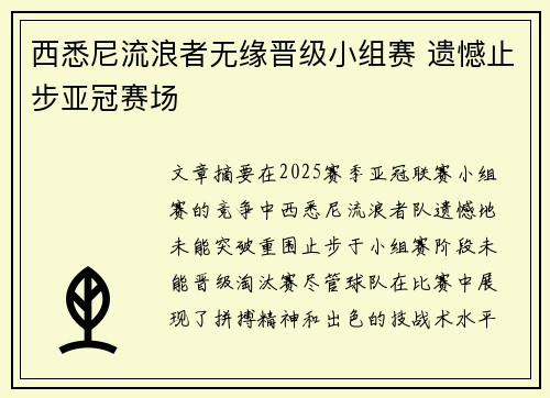 西悉尼流浪者无缘晋级小组赛 遗憾止步亚冠赛场